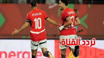 اللقاء المنتظر.. تردد القناة الجزائرية لمباراة الفراعنة أمام جنوب أفريقيا